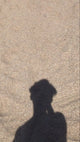 Noah D.